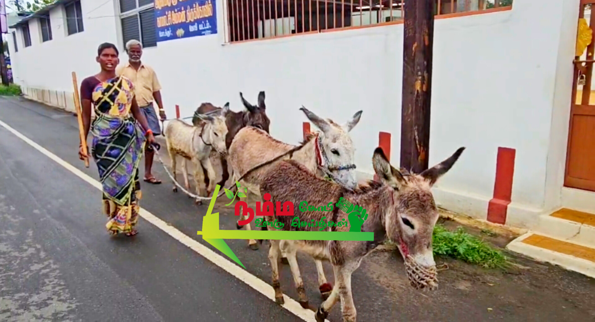 கோபிசெட்டிபாளையத்தில் ஒரு லிட்டர் கழுதை பால் 4 ஆயிரம் ரூபாய்க்கு விற்பனை. 1 1000009560