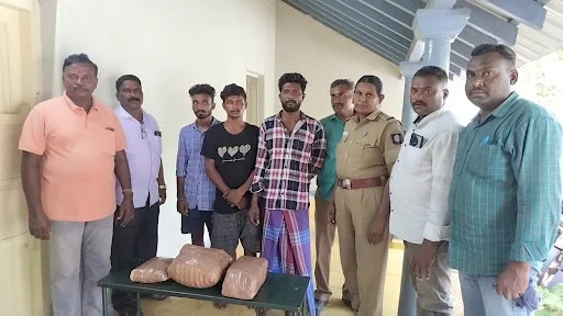 12 kg ganja seized in Bhawani area under Gobi Prohibition Police Station. Gobi Prohibition Police arrested 3 persons involved in selling ganja.