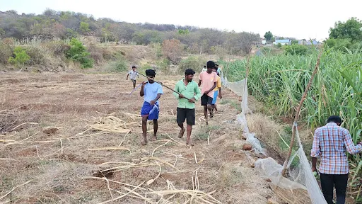 கோபி அருகே உள்ள சஞ்சீவிராயன் கோவில் அருகே கரும்பு காட்டிற்குள் சிறுத்தை நடமாட்டத்தால் அப்பகுதி விவசாயிகளும், பொதுமக்களும் அச்சமடைந்துள்ளனர் 1 1715103953970958 1