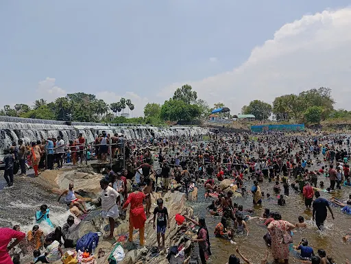 கோபிசெட்டிபாளையம் அடுத்துள்ள கொடிவேரி அணையில் கோடைவிடுமுறையொட்டி 5 ஆயிரத்துக்கும் மேற்பட்ட சுற்றுலா பயனிகள் அருவிபோல கொட்டும் நீர்ல் உற்சாக குளியளிட்டும் தங்கள் குடும்பங்களுடன் மகிழந்தனர். 5 1715573191747844 4