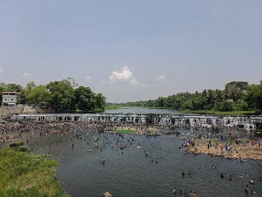 கோபிசெட்டிபாளையம் அடுத்துள்ள கொடிவேரி அணையில் கோடைவிடுமுறையொட்டி 5 ஆயிரத்துக்கும் மேற்பட்ட சுற்றுலா பயனிகள் அருவிபோல கொட்டும் நீர்ல் உற்சாக குளியளிட்டும் தங்கள் குடும்பங்களுடன் மகிழந்தனர். 4 1715573201002230 3