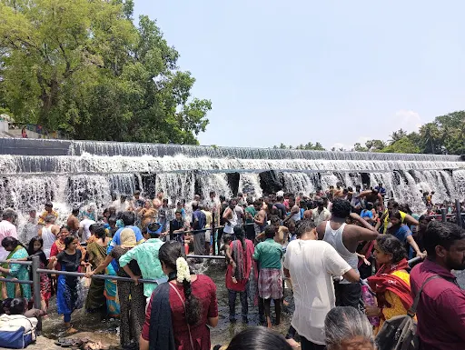 கோபிசெட்டிபாளையம் அடுத்துள்ள கொடிவேரி அணையில் கோடைவிடுமுறையொட்டி 5 ஆயிரத்துக்கும் மேற்பட்ட சுற்றுலா பயனிகள் அருவிபோல கொட்டும் நீர்ல் உற்சாக குளியளிட்டும் தங்கள் குடும்பங்களுடன் மகிழந்தனர். 2 1715573217375264 1