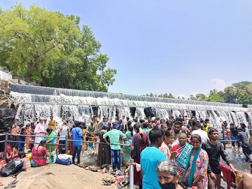 கோபிசெட்டிபாளையம் அடுத்துள்ள கொடிவேரி அணையில் கோடைவிடுமுறையொட்டி 5 ஆயிரத்துக்கும் மேற்பட்ட சுற்றுலா பயனிகள் அருவிபோல கொட்டும் நீர்ல் உற்சாக குளியளிட்டும் தங்கள் குடும்பங்களுடன் மகிழந்தனர். 1 1715573226266995 0