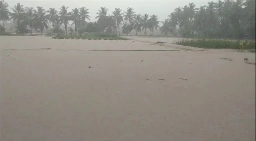 நம்பியூர் பகுதியில் குளம் உடைந்து அதிகளவு தண்ணீர் வெளியேறி வருவதால் தாழ்வான இடங்களில் உள்ள பொதுமக்கள் மேலான இடங்களுக்கு செல்ல காவல்துறை சார்பில் ஒலிபெருக்கி மூலம் எச்சரிக்கை 2 1716299129232803 1