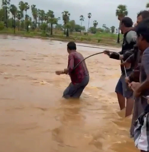 நம்பியூர் பழனிகவுண்டன் புதூர் பகுதியில் தரைமட்ட பாலத்தை மூழ்டித்து செல்லும் நிலையில் ஆபத்தை உணராமல் இருசக்கர வாகனத்தில் சாலையை கடக்க முயன்று வெள்ளத்தில் சிக்கிக் கொண்டவரை பொதுமக்கள் கயிறு கட்டி மீட்டனர். 1 1716360168922758 0