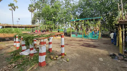 கோபி அருகே கோயில் திருவிழாவில் ஆட்டு கிடாய் வெட்டி பச்சை ரத்தம் குடித்த பூசாரி மயங்கி விழுந்து உயிரிழந்த சம்பவம் பரபரப்பை ஏற்படுத்தி உள்ளது 2 1716470397978525 1