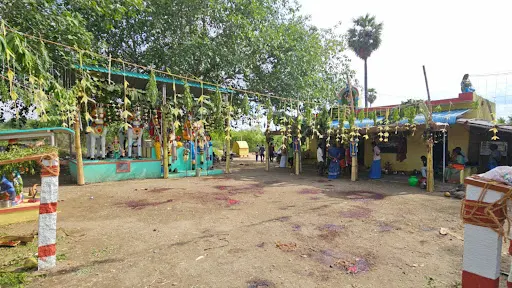 கோபி அருகே கோயில் திருவிழாவில் ஆட்டு கிடாய் வெட்டி பச்சை ரத்தம் குடித்த பூசாரி மயங்கி விழுந்து உயிரிழந்த சம்பவம் பரபரப்பை ஏற்படுத்தி உள்ளது 1 1716470404414758 0
