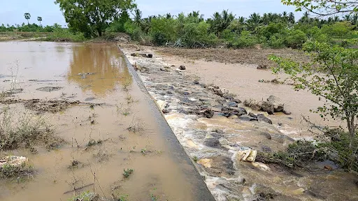 நம்பியூர் அருகே உள்ள எலத்தூரில் 25 ஆண்டுகளுக்கு பிறகு 100 ஏக்கர் பரப்பளவில் உள்ள குளம் நிரம்பி உபரி நீர் வெளியேறி வருகிறது. 2 1716678074401024 2
