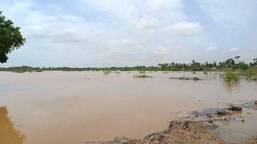 நம்பியூர் அருகே உள்ள எலத்தூரில் 25 ஆண்டுகளுக்கு பிறகு 100 ஏக்கர் பரப்பளவில் உள்ள குளம் நிரம்பி உபரி நீர் வெளியேறி வருகிறது. 1 1716678081227729 1