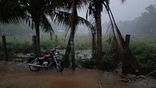 கோபிசெட்டிபாளையம் மற்றும் அதன் சுற்றுவட்டார பகுதிகளில் இடி மற்றும் சூறாவளி காற்றுடன் கனமழை பெய்தது. 4 1717389634108647 3