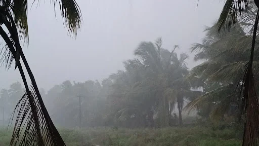 கோபிசெட்டிபாளையம் மற்றும் அதன் சுற்றுவட்டார பகுதிகளில் இடி மற்றும் சூறாவளி காற்றுடன் கனமழை பெய்தது. 2 1717389651532059 1