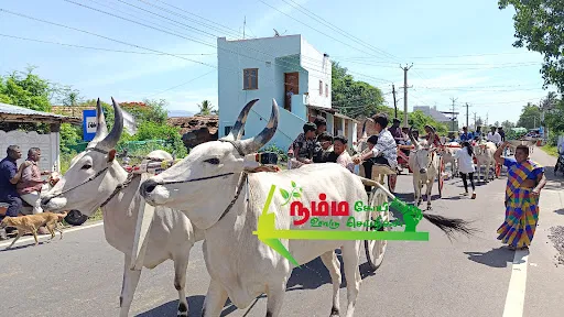 கோபிசெட்டிபாளையம் புதுக்கரைபுதூர் பகுதியில் உள்ள தனியார் திருமண மண்டபத்தில் நடைபெற்ற பூப்பு நன்னீராட்டு விழாவிற்கு தாய் மாமன் பாரம்பரிய முறைப்படி மாட்டு வண்டியில் சீர்வரிசை கொண்டு சென்றது அனைவரின் கவனத்தையும் ஈர்த்தது 7 1718614182753633 7