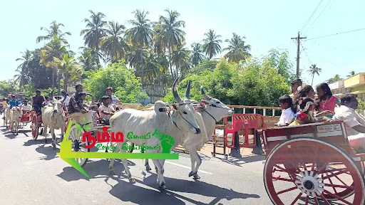 கோபிசெட்டிபாளையம் புதுக்கரைபுதூர் பகுதியில் உள்ள தனியார் திருமண மண்டபத்தில் நடைபெற்ற பூப்பு நன்னீராட்டு விழாவிற்கு தாய் மாமன் பாரம்பரிய முறைப்படி மாட்டு வண்டியில் சீர்வரிசை கொண்டு சென்றது அனைவரின் கவனத்தையும் ஈர்த்தது 4 1718614286710347 4