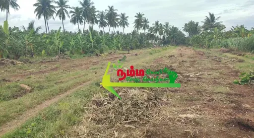 கோபிசெட்டிபாளையம் அருகே உள்ள கூகலூார், சக்கராபாளையம் பகுதியில் 10 வீடுகள் இடிக்கப்பட்டு, நீர்வள ஆதாரத்துறைக்கு சொந்தமான 4.50 ஏக்கர் நிலத்தை நீர்வள ஆதாரத்துறையினர் காவல்துறை பாதுகாப்புடன் மீட்டனர். 6 1721085695793821 2