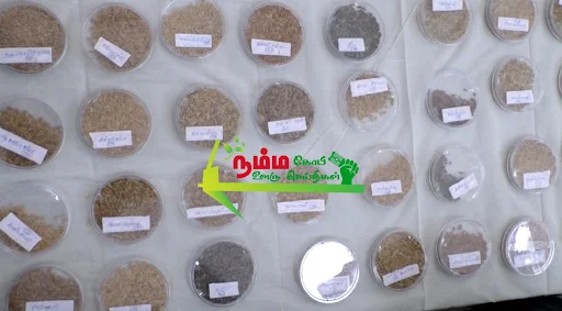 கோபிசெட்டிபாளையத்தில் நடைபெற்ற விதைகள் திருவிழாவில் ஈரோடு மாவட்டத்தில் இருந்து 50 க்கும் மேற்பட்ட பள்ளி கல்லூரி மாணவ மாணவிகள் மற்றும் விவசாயிகள் கலந்து கொண்டனர் 6 1721617543457604 5