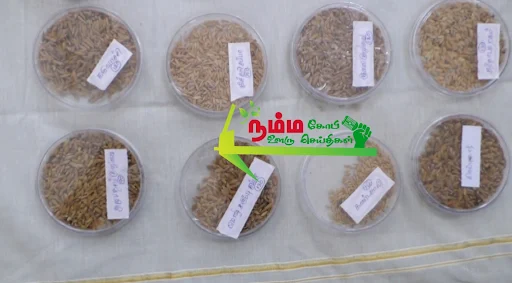 கோபிசெட்டிபாளையத்தில் நடைபெற்ற விதைகள் திருவிழாவில் ஈரோடு மாவட்டத்தில் இருந்து 50 க்கும் மேற்பட்ட பள்ளி கல்லூரி மாணவ மாணவிகள் மற்றும் விவசாயிகள் கலந்து கொண்டனர் 5 1721617549482344 4