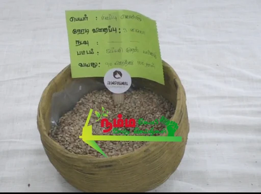 கோபிசெட்டிபாளையத்தில் நடைபெற்ற விதைகள் திருவிழாவில் ஈரோடு மாவட்டத்தில் இருந்து 50 க்கும் மேற்பட்ட பள்ளி கல்லூரி மாணவ மாணவிகள் மற்றும் விவசாயிகள் கலந்து கொண்டனர் 3 1721617567316760 2