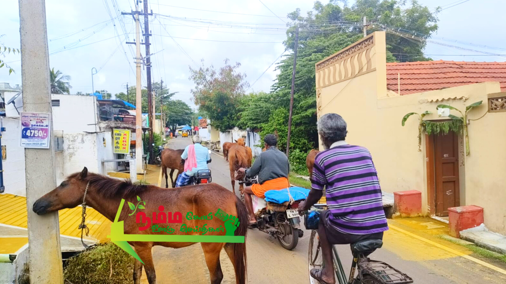 கோபிசெட்டிபாளையம் குதிரைகள்னால் மக்கள் பெரும் அவதி 2 InShot 20241014 132853282