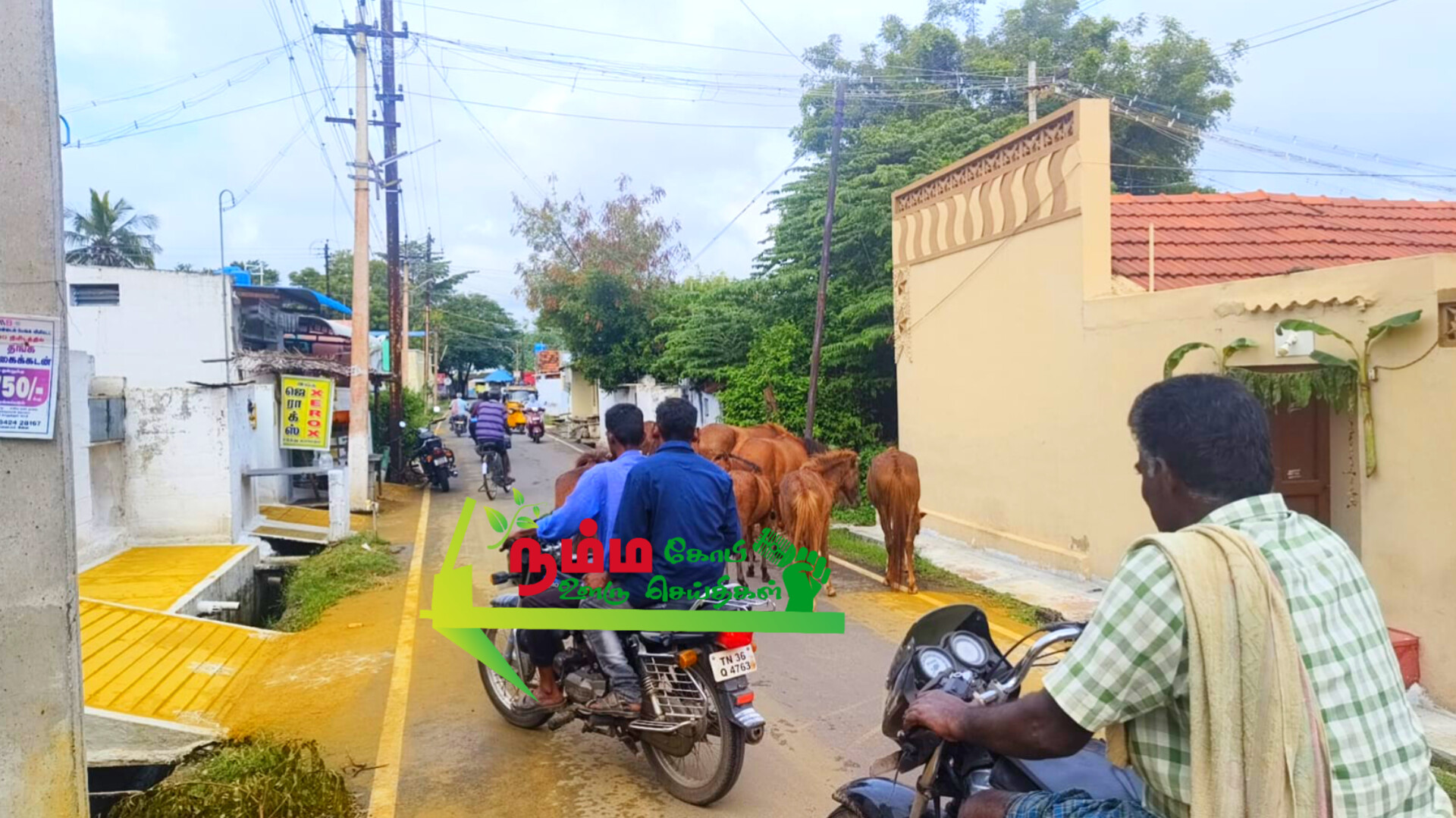 கோபிசெட்டிபாளையம் குதிரைகள்னால் மக்கள் பெரும் அவதி 1 InShot 20241014 132919482