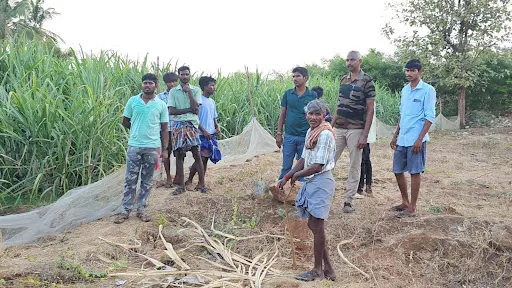 Farmers and public in the area are scared because of leopard movement in the sugarcane forest near Sanjeevirayan Temple near Gobi.