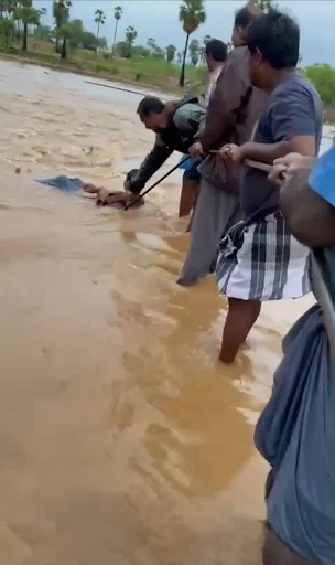 The public rope was built until he tried to cross the road in a two-wheeler without feeling the danger of mopping the ground bridge in the Nambiyur Fruitikoundan shrub area.