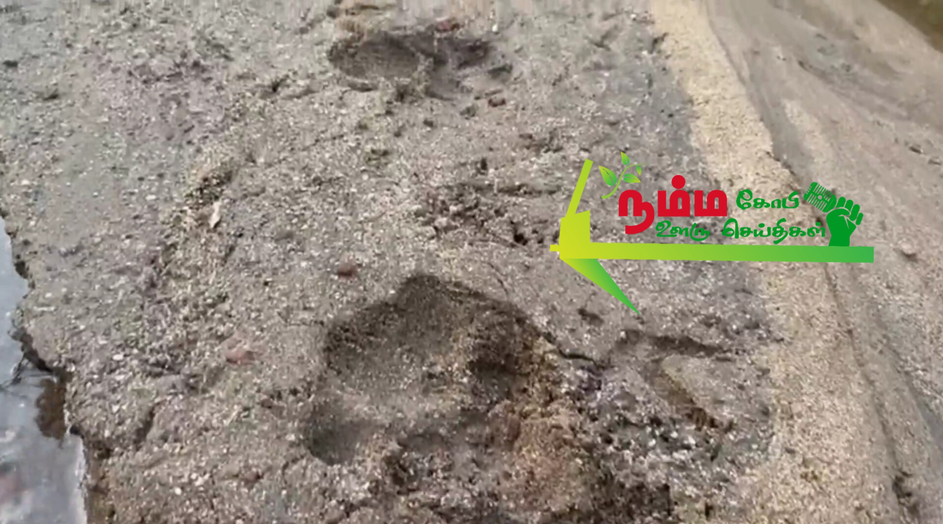 கோபிசெட்டிபாளையம் அடுத்துள்ள பெருமுகை கிராமம் கரும்பாறை பகுதியில் சிறுத்தை நடமாட்டம் வனத்துறை சார்பில் எச்சரிக்கை 3 download 1 1